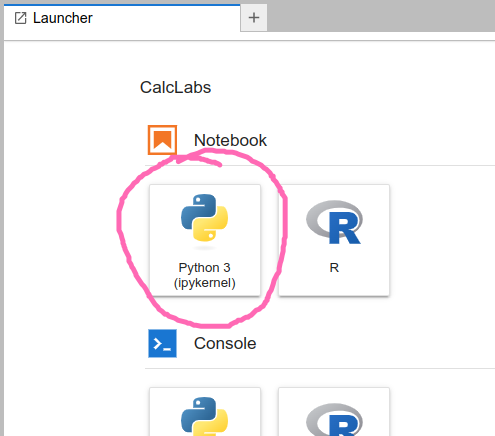 screenshot of jupyter lab page showing python notebook button